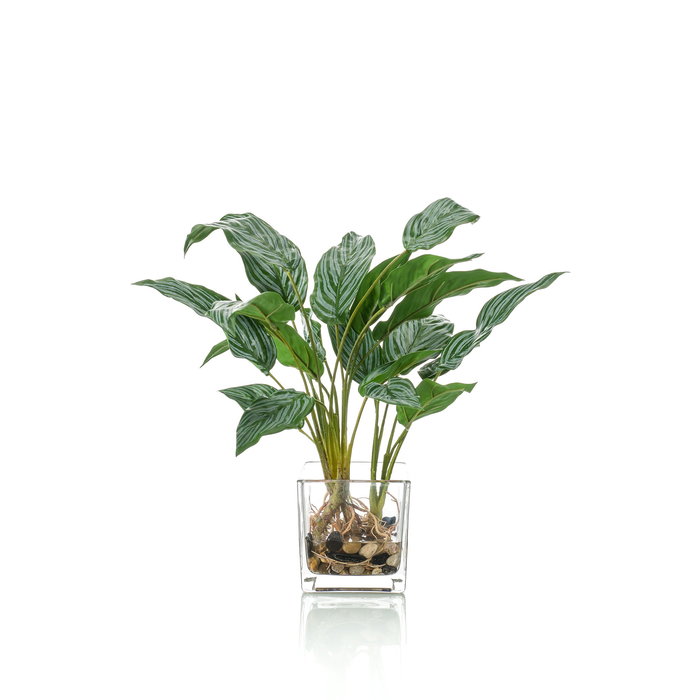 Emerald Kunstplant Aglaonema 45cm in glazen pot