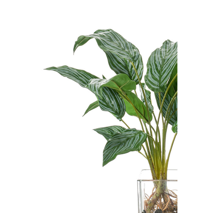 Emerald Kunstplant Aglaonema 45cm in glazen pot