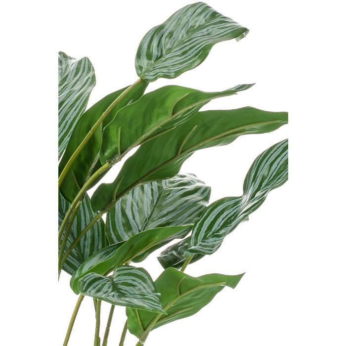 Emerald Kunstplant Aglaonema 45cm in glazen pot