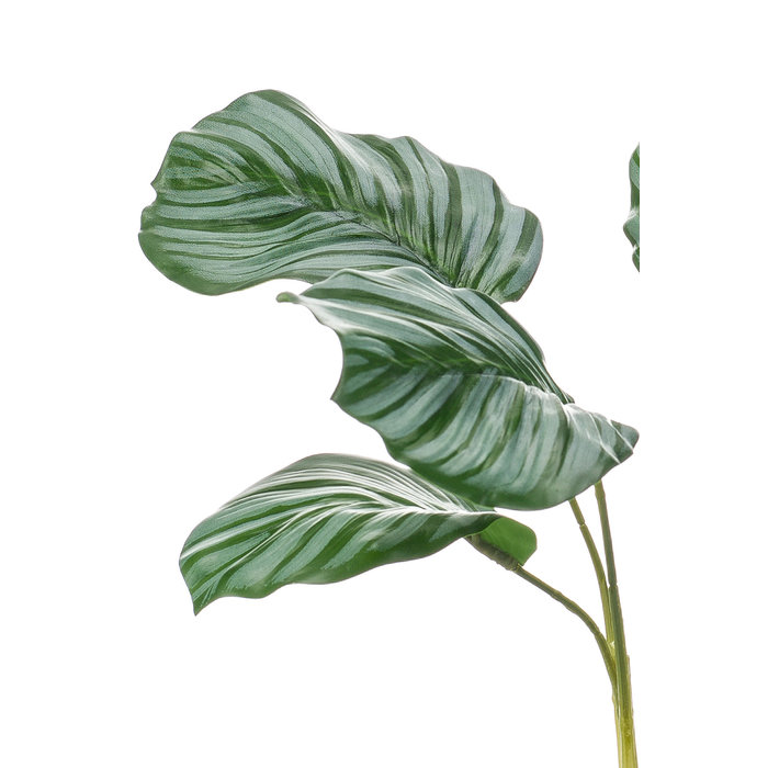 Emerald Kunstplant Calathea 35cm in glazen pot