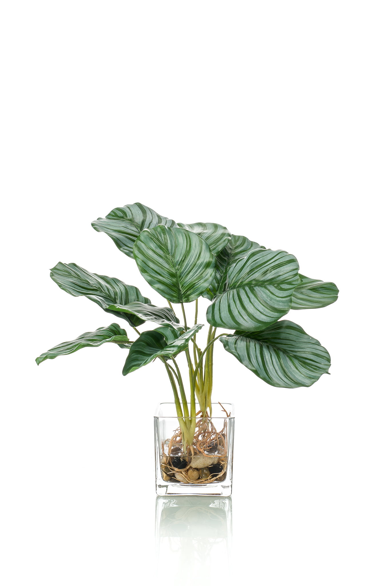 Floralike Kunstplant Calathea 39cm in glazen pot
