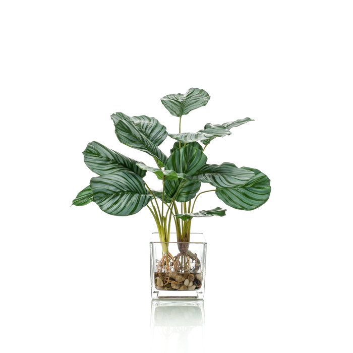 Emerald Kunstplant Calathea 45cm in glazen pot