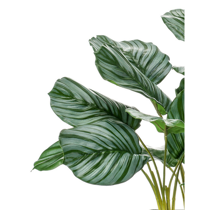 Emerald Kunstplant Calathea 45cm in glazen pot