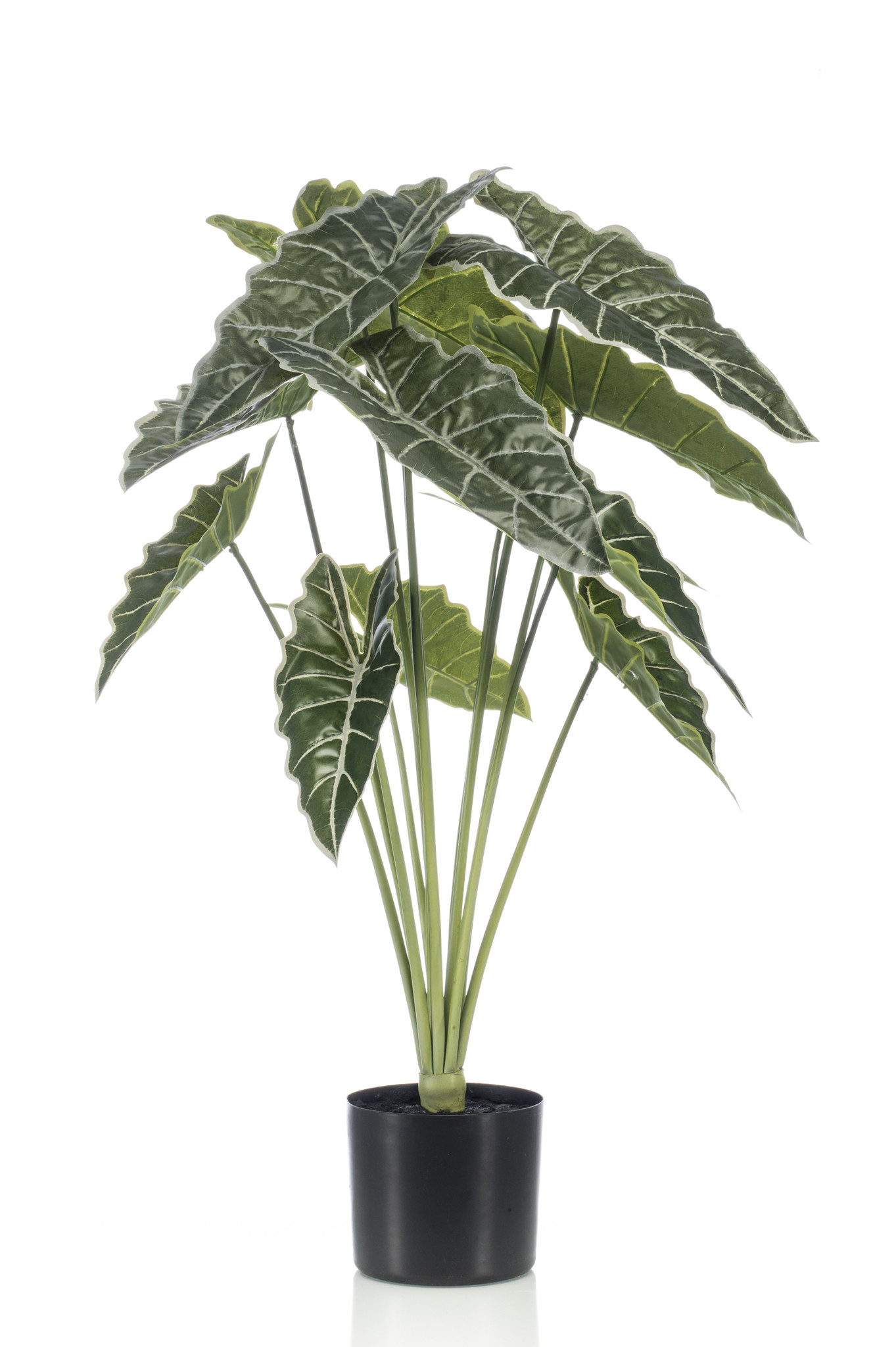 Emerald Kunstplant Alocasia 80cm