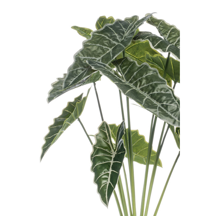 Emerald Kunstplant Alocasia 80cm