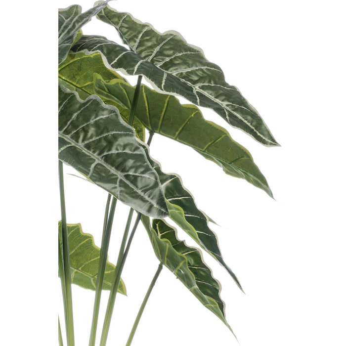 Emerald Kunstplant Alocasia 80cm