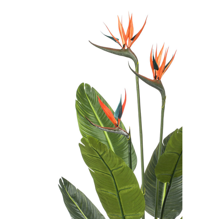 Emerald Kunstplant Strelitzia met bloemen 120cm