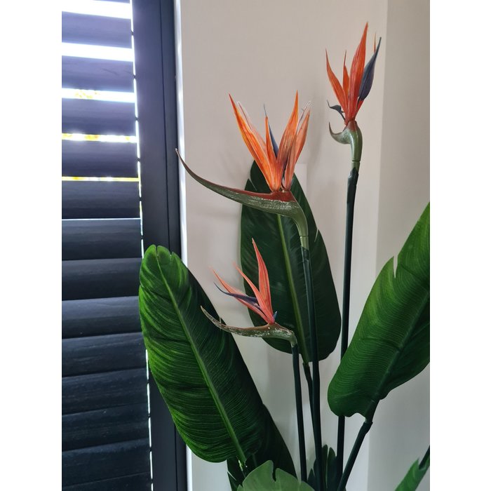 Emerald Kunstplant Strelitzia met bloemen 120cm