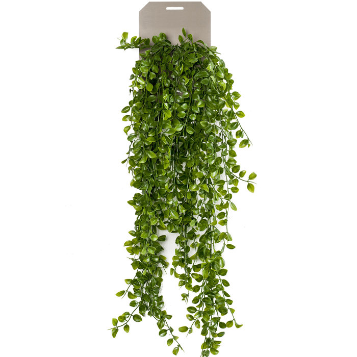 Emerald Kunst hangplant Ficus pumila 80cm