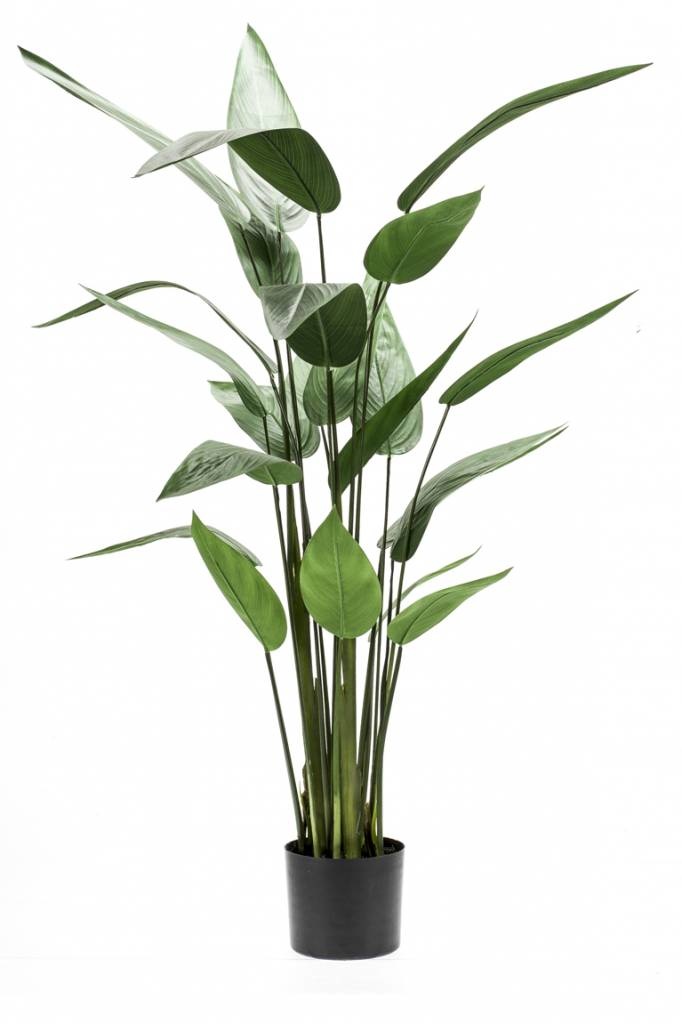 Emerald Kunstplant Heliconia 125cm