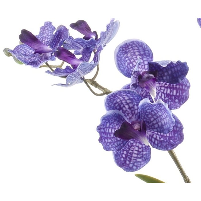 Emerald Kunstplant Vanda 60cm paars in pot