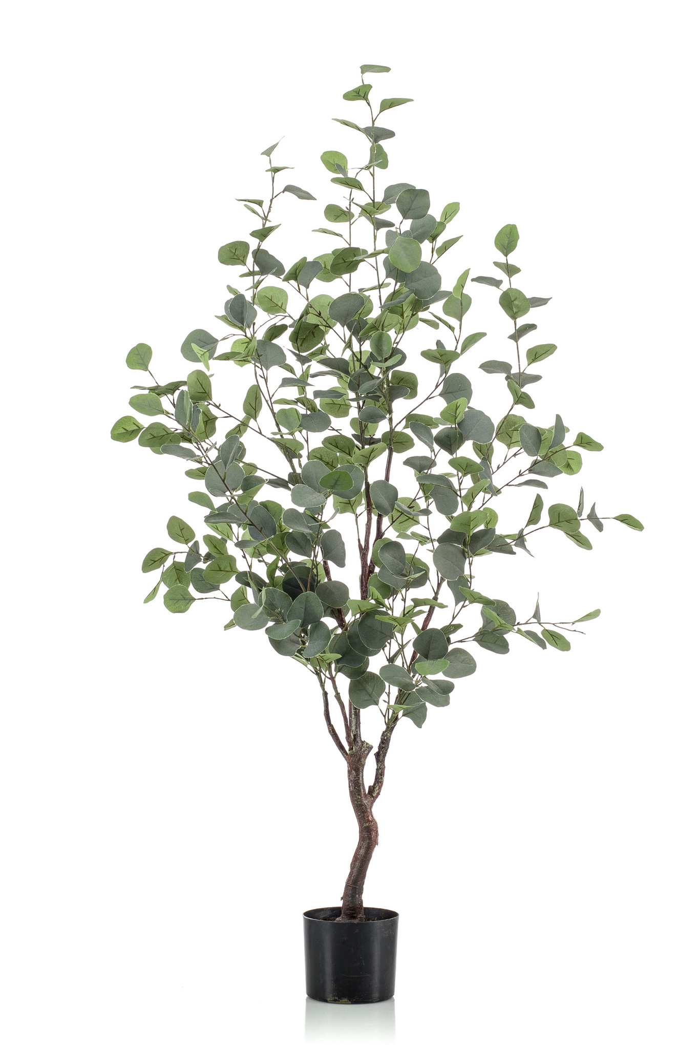 Floralike Kunstboom Eucalyptus 120cm