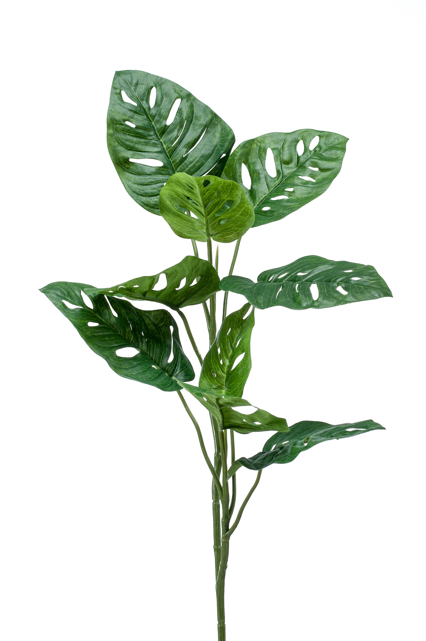 Floralike Kunstblad Monstera Gatenplant Multi 75cm