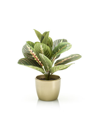 Emerald Kunstplant Maranta 30cm in goudkleurige pot