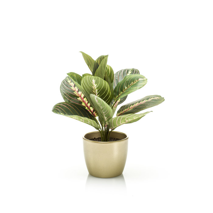 Emerald Kunstplant Maranta 30cm in goudkleurige pot