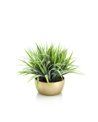 Emerald Kunstplant Gras 33cm in goudkleurige schaal