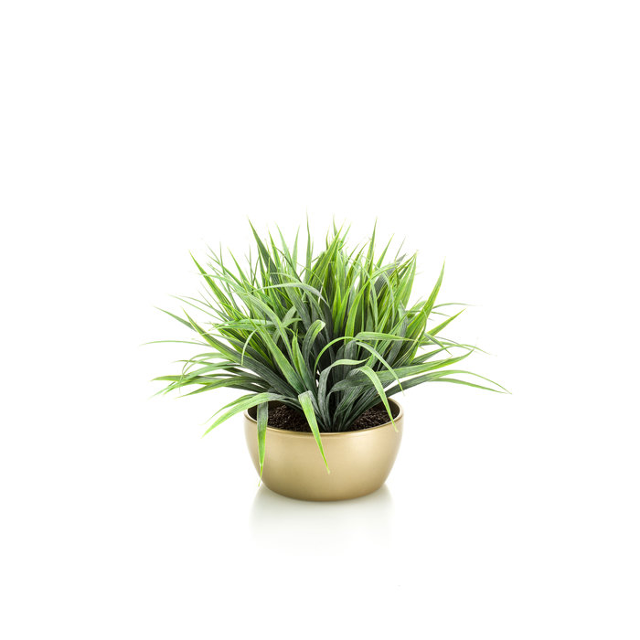 Emerald Kunstplant Gras 33cm in goudkleurige schaal