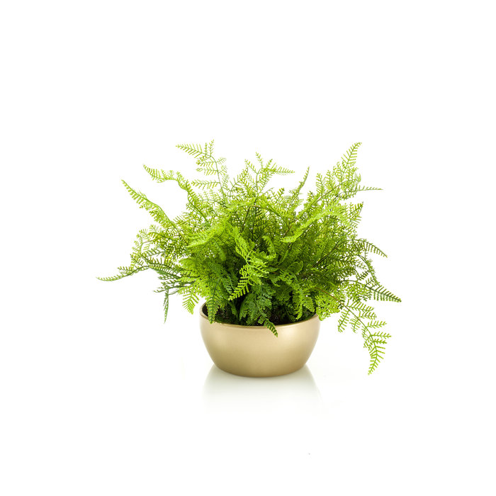 Emerald Kunstplant Varen 40cm in goudkleurige schaal