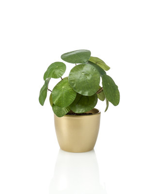 Emerald Kunstplant Ficus 22cm in goudkleurige pot