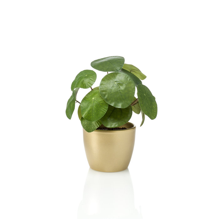 Emerald Kunstplant Ficus 22cm in goudkleurige pot