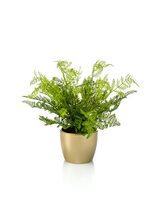 Emerald Kunstplant Bos Varen 40cm in goudkleurige pot