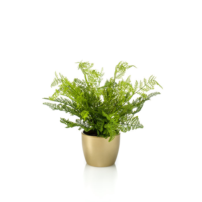 Emerald Kunstplant Bos Varen 40cm in goudkleurige pot