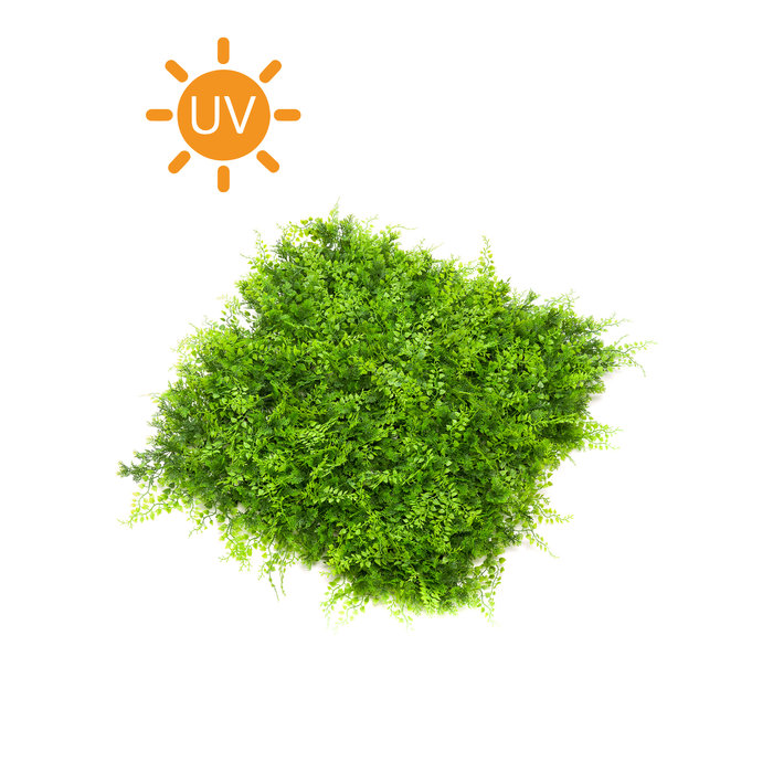 Emerald Kunsthaag Varen/Conifeer mat 50x50cm UV