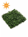 Emerald Kunsthaag klimop Hedera mat 50x50cm UV