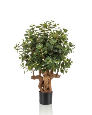 Emerald Ficus Panda Botanic Tree 100cm