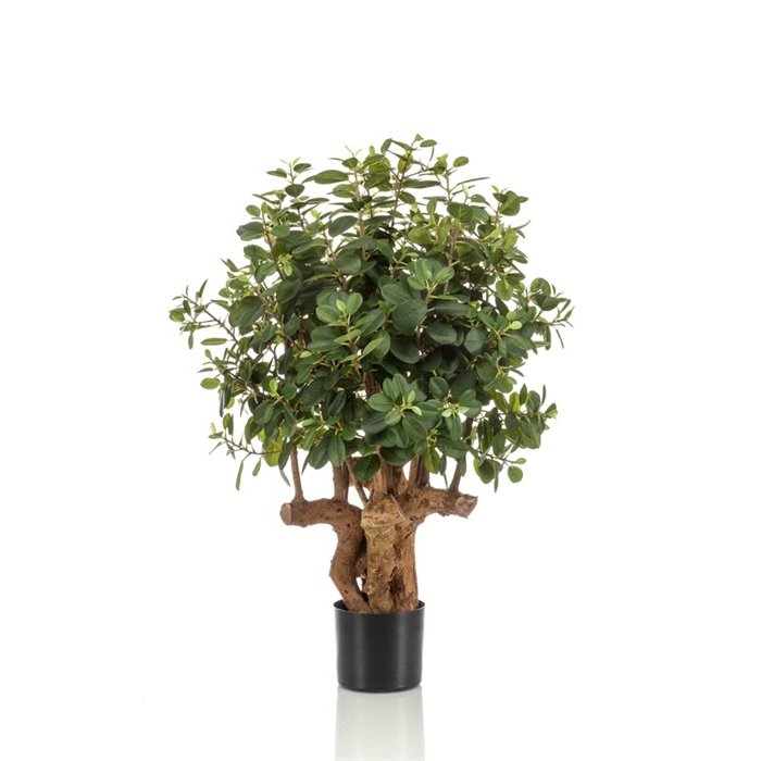 Emerald Ficus Panda Botanic Tree 100cm