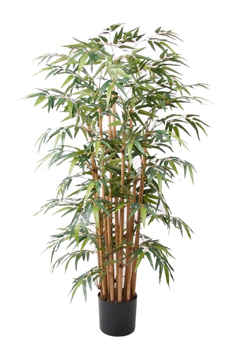 Floralike Kunstplant  Bamboe Deluxe 145cm