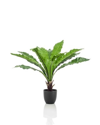 Emerald Kunstplant Asplenium Nestvaren 75cm