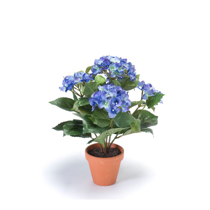 Emerald Kunstplant Hortensia Donkerblauw 37cm in terracotta pot