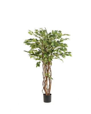 Emerald Kunstboom Ficus liana 150cm