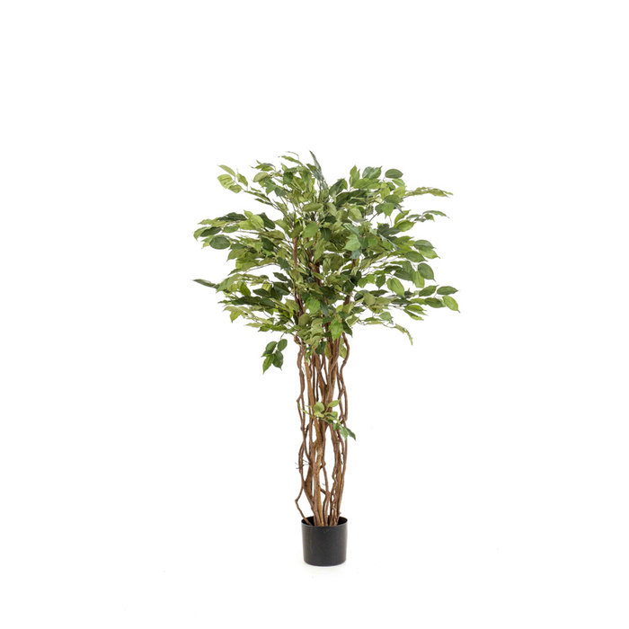 Emerald Kunstboom Ficus liana 150cm