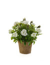 Emerald Kunstplant Roos wit mini 13cm in pot
