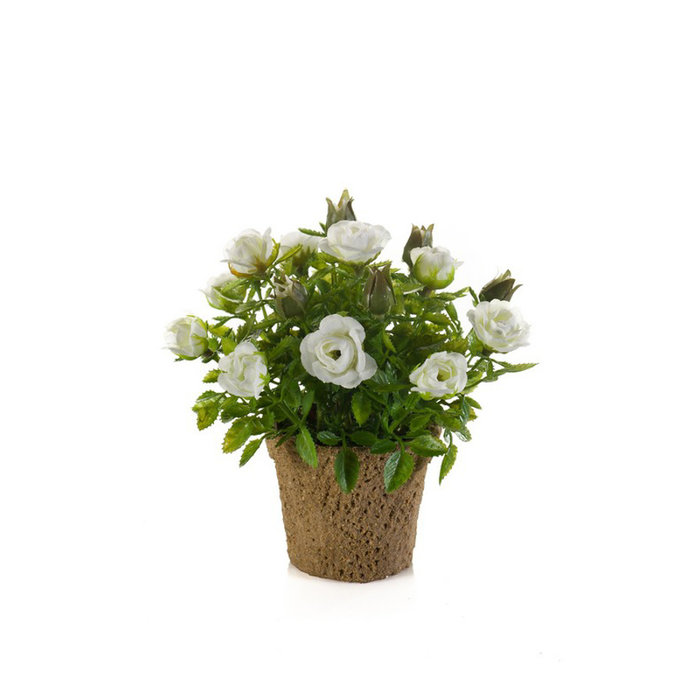 Emerald Kunstplant Roos wit mini 13cm in pot