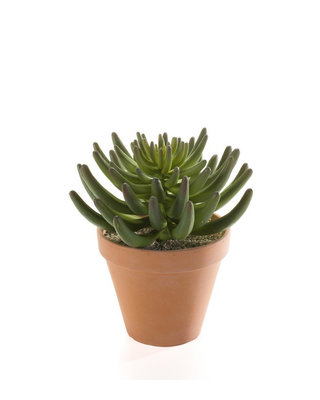 Emerald Kunstplant Tripmadam groen 20cm in terracotta pot