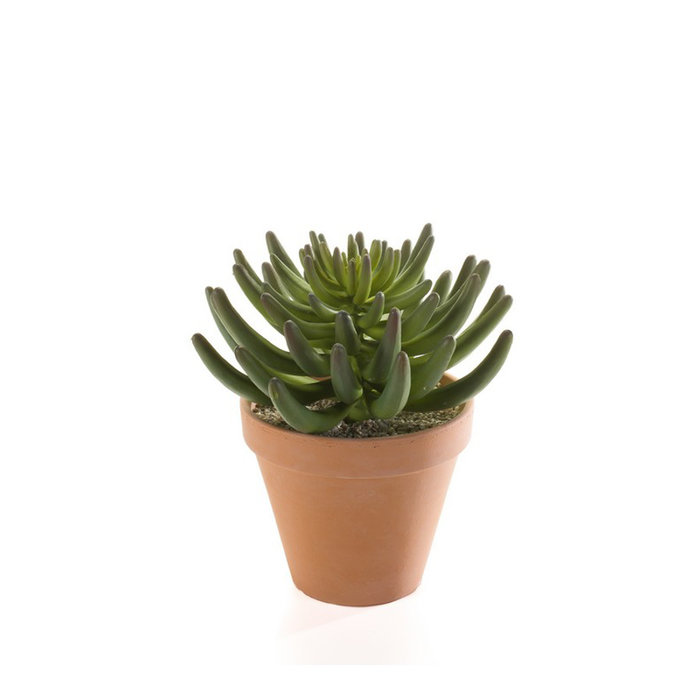 Emerald Kunstplant Tripmadam groen 20cm in terracotta pot