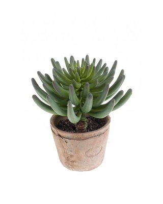 Emerald Kunstplant Tripmadam groen 20cm green in terracotta pot
