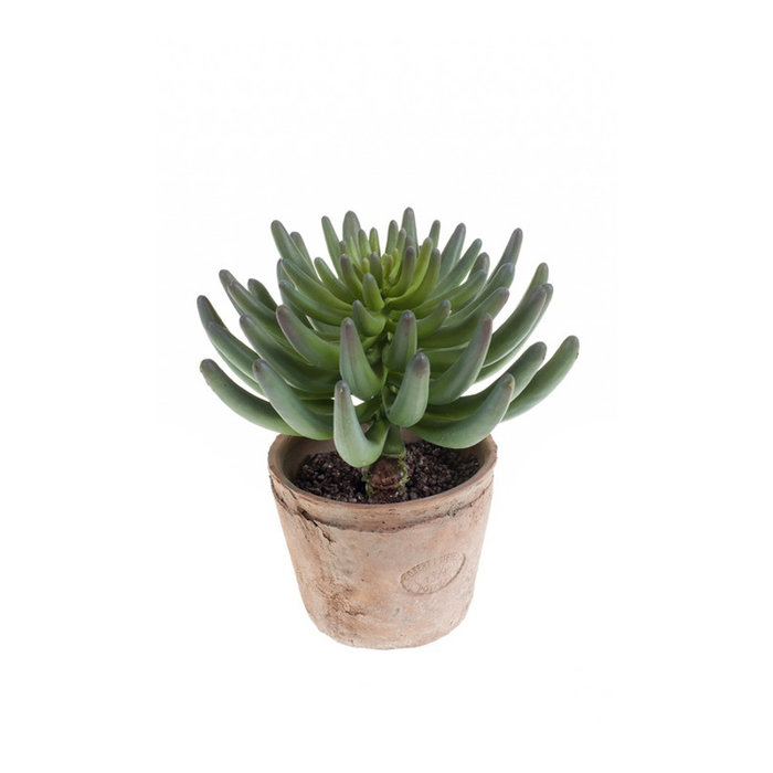 Emerald Kunstplant Tripmadam groen 20cm green in terracotta pot