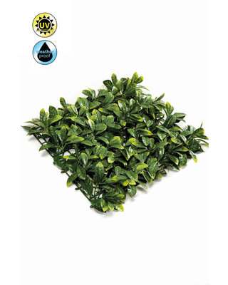 Emerald Kunsthaag Laurierkers mat weer/uv resistant 50x50cm