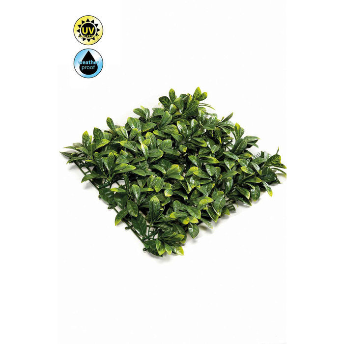 Emerald Kunsthaag Laurierkers mat weer/uv resistant 50x50cm