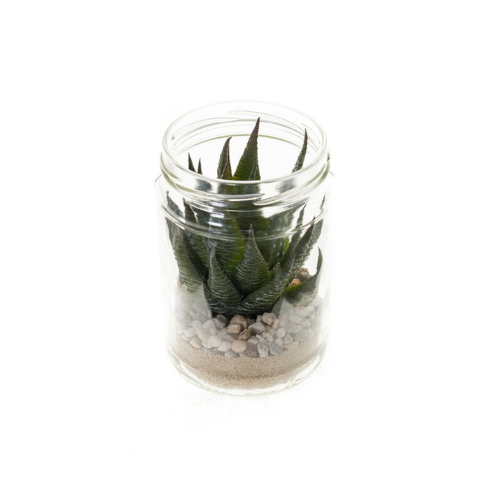 Emerald Kunstplant Haworthia groen 12,50cm in glazen pot
