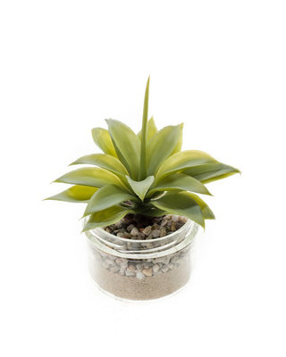 Emerald Kunstplant Agave groen 17cm in glazen pot