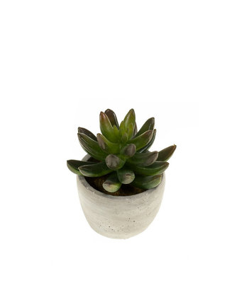 Emerald Kunstplant Sedum 11cm in cement pot