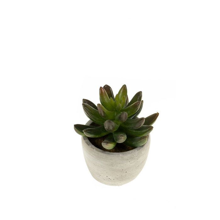 Emerald Kunstplant Sedum 11cm in cement pot