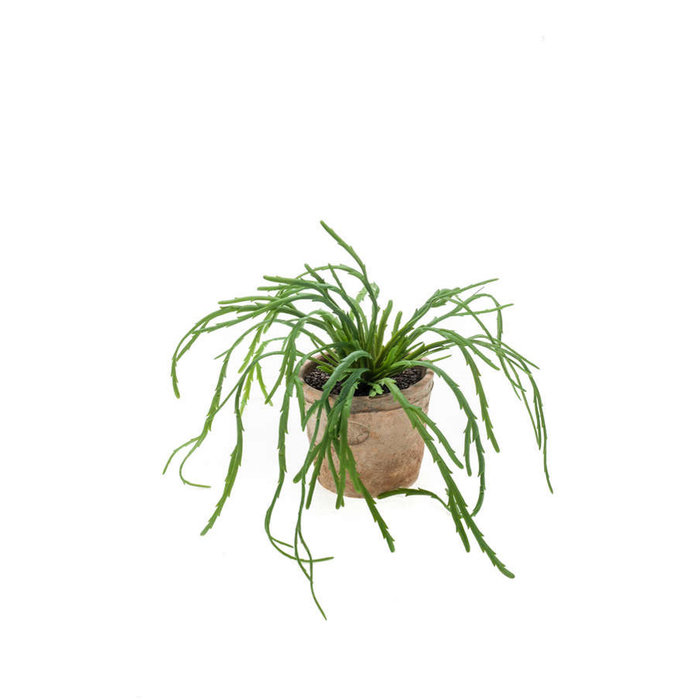 Emerald Kunstplant Rhipsalis pandora 35cm in terracotta pot