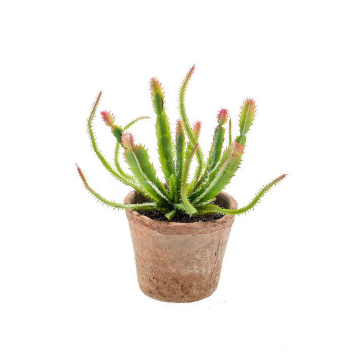 Emerald Kunstplant Euphorbia 23cm groen/rood in terracotta pot