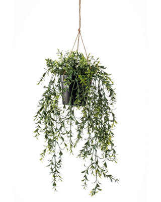 Emerald Kuntsplant Buxus hangend 50cm in pot